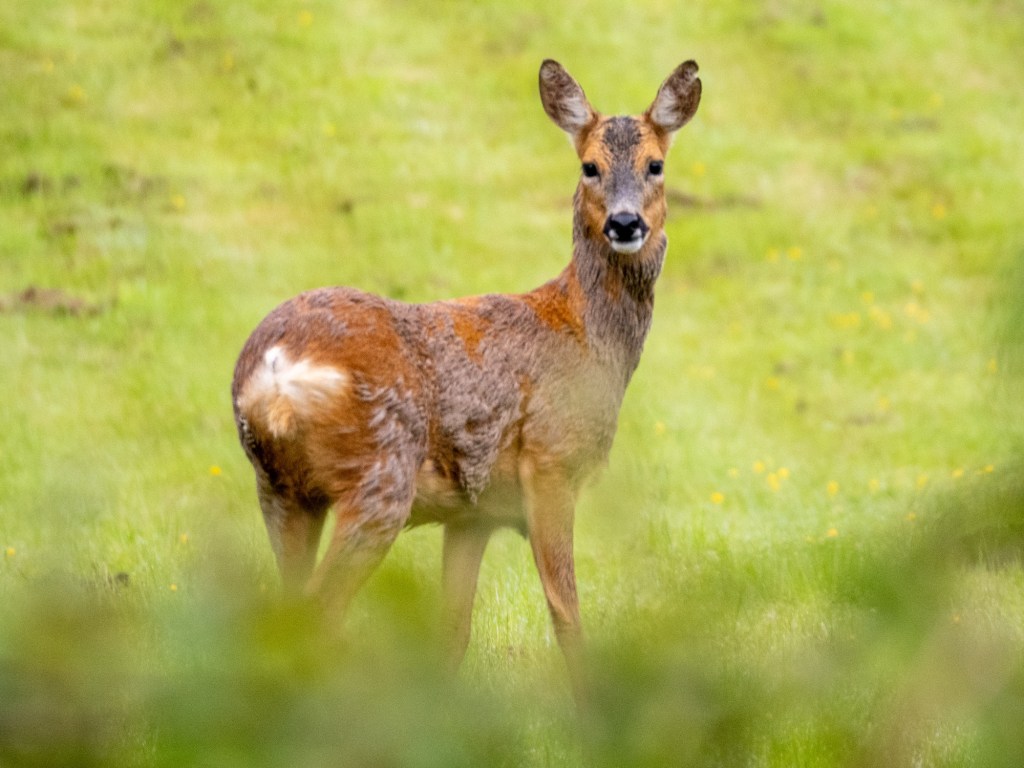 Helmshore Weekend: It’s so&nbsp;wet!!