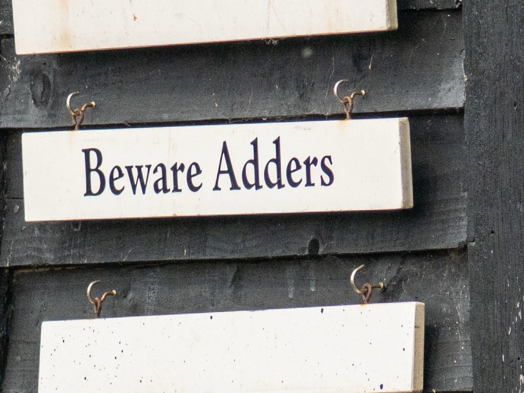 Aldeburgh Adventure: June&nbsp;2025