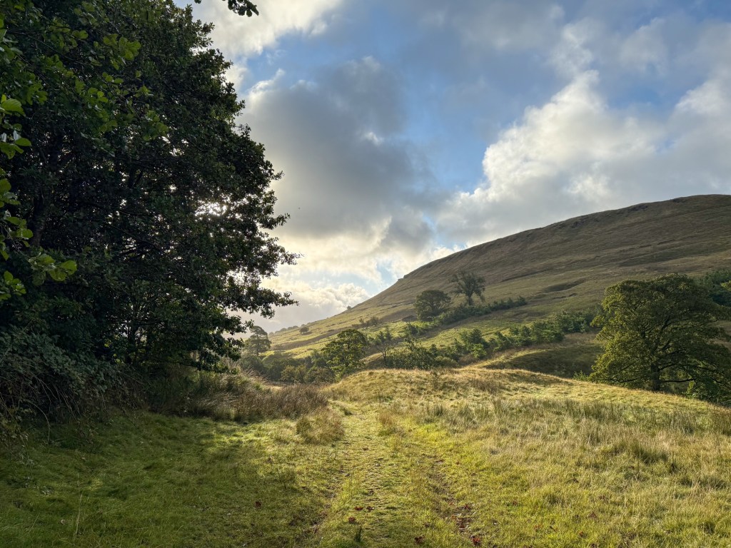 Helmshore: the arrival of&nbsp;Autumn!