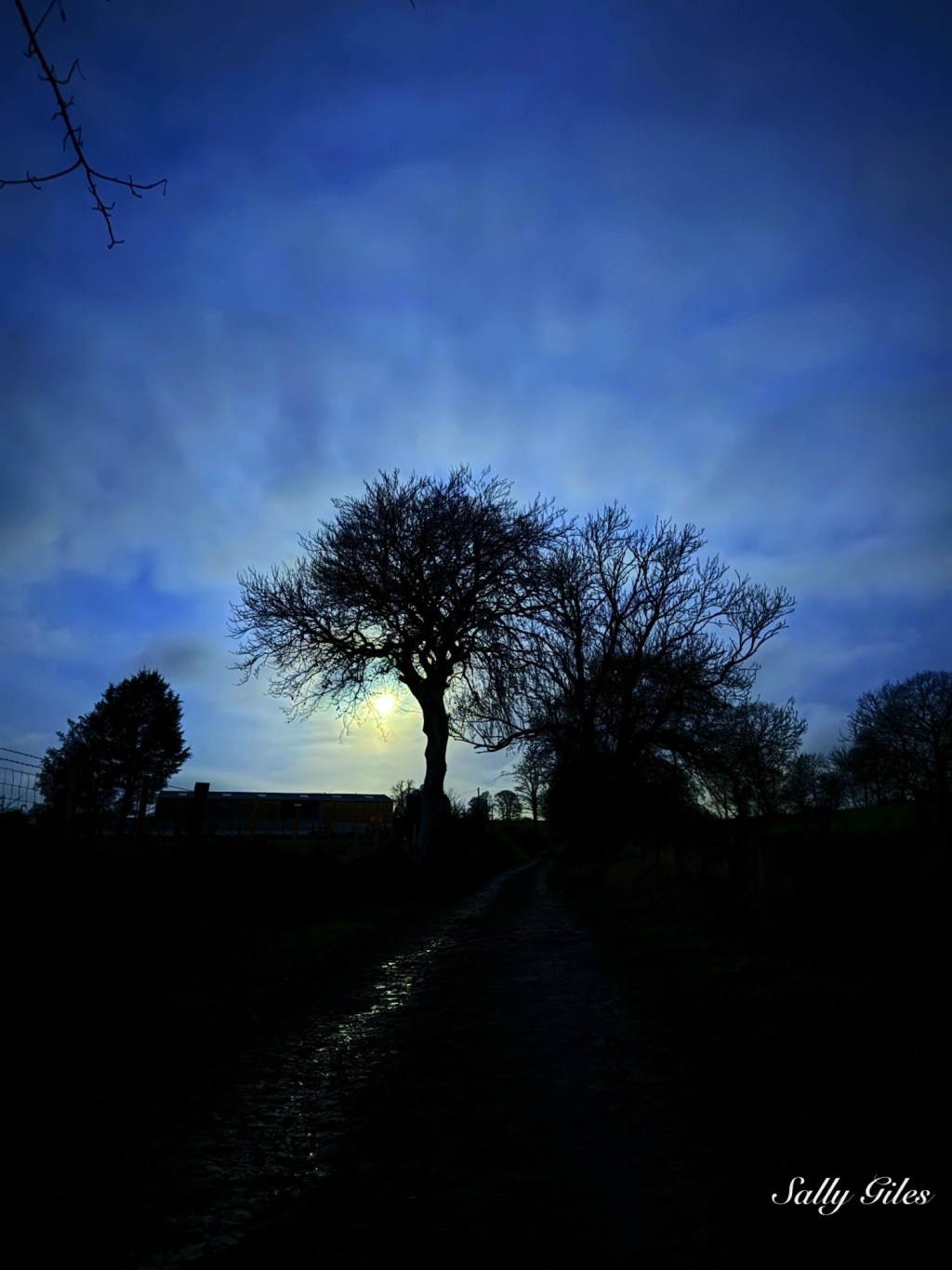 December; Silver Paths, Quiet&nbsp;Hearts