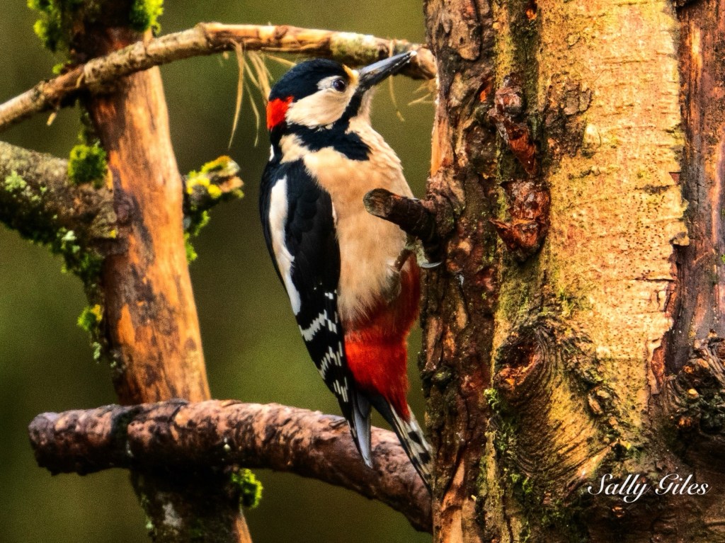 Helmshore: Promises of Snow and Other Small&nbsp;Missteps